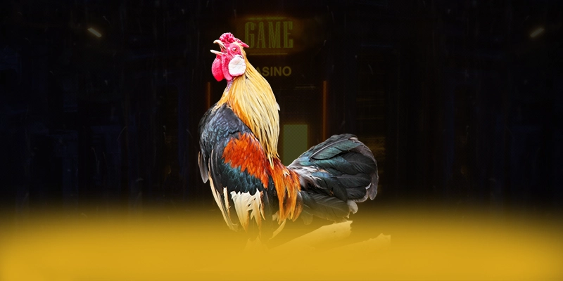 lương sơn tv - Nền tảng sở hữu hệ thống live betting tốt nhất thị trường lương sơn tv - Nền tảng sở hữu hệ thống live betting tốt nhất thị trường