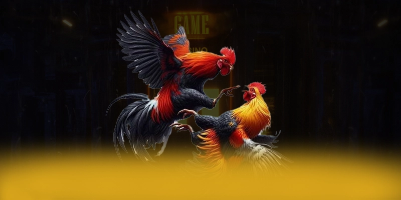 8XBET - Cổng cá cược chuyên nghiệp số 1 Việt Nam 8XBET - Cổng cá cược chuyên nghiệp số 1 Việt Nam