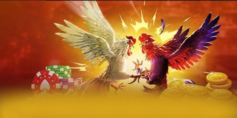 FB88 – Cổng game được nhiều người chơi lựa chọn tại Việt Nam